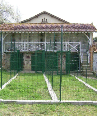 veterinary boarding kennels